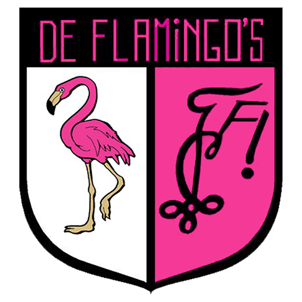 Afbeelding De flamingo's